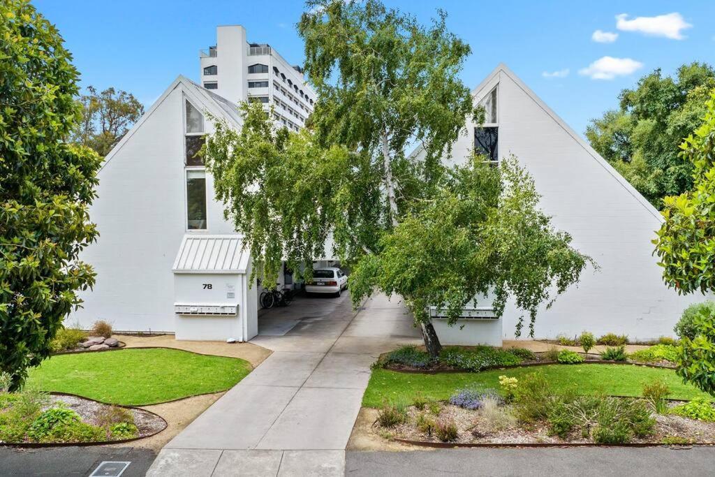 Apartment The Warbling Magpie